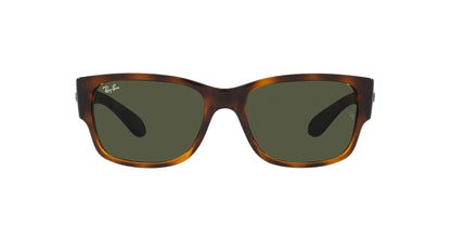 Ray-Ban RB4388 Bold Square Sunglasses 58mm Havana/Green